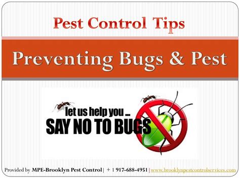 Tips On Preventing Bugs And Pest