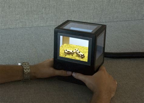 Build your house plan and view it in 3d. 3-D Tabletop Display Gets Rid of the Glasses | WIRED