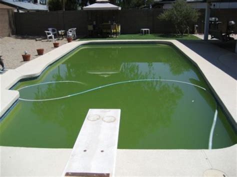 Revive Your Dirty Pool Phoenix Arizona Pool Cleaning Repair And