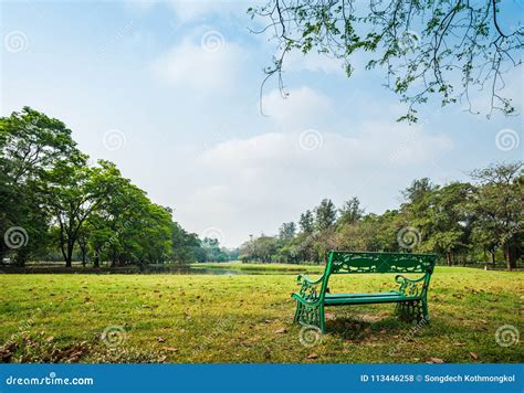 Green Bench In Public Park Stock Photo Image Of Green 113446258