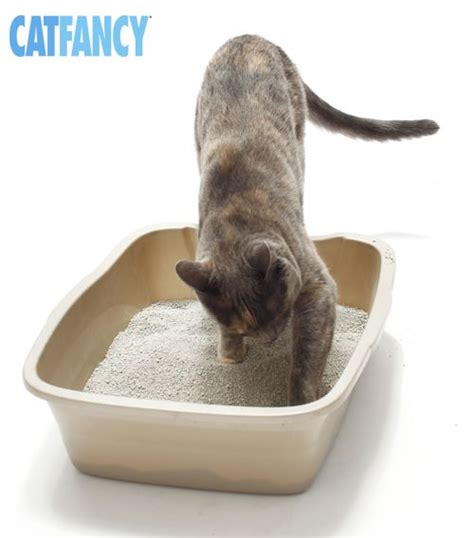 Soaking your ingrown or infected toe will help relieve the pain and pressure of an infection. Top 10 Cat Litterbox Tips - There are other reasons of ...