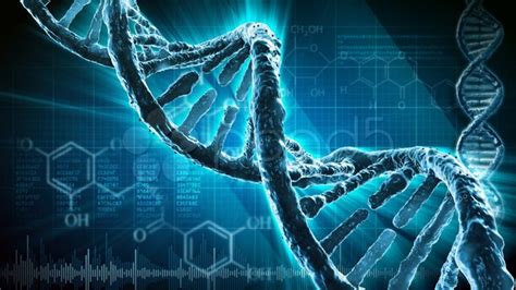 The Eight Characteristics Of Life Biology