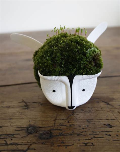 Planters Hedgehogs And Milk On Pinterest