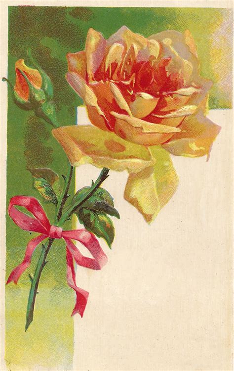 Antique Images Vintage Flower Clip Art Yellow Rose With Bud And Pink