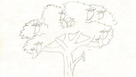 Detail Sketsa Pohon Mangga Koleksi Nomer 45
