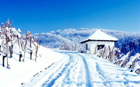 Snowy Cottage Hd Nature 4k Wallpapers Images
