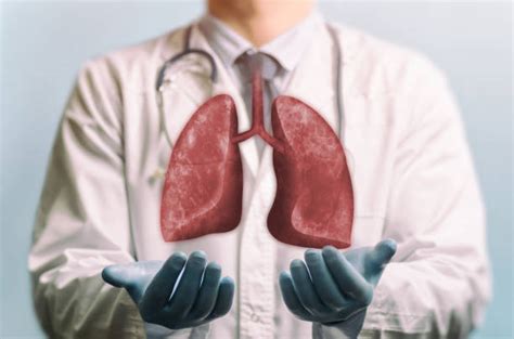 Lung Transplant Stock Photos Pictures And Royalty Free Images Istock
