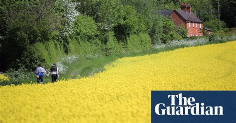 Scotland To Issue Formal Ban On Genetically Modified Crops Gm The