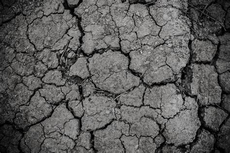 Free Images Nature Ground Texture Arid Desert Floor Barren