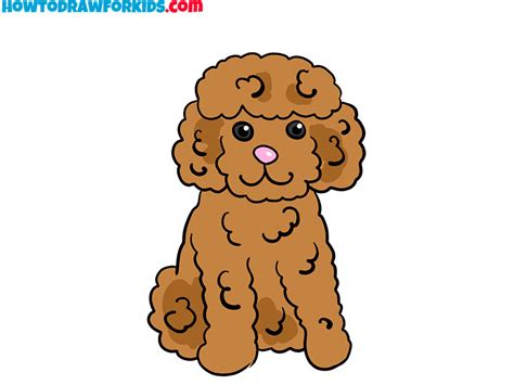 How To Draw A Poodle Easy Drawing Tutorial For Kids