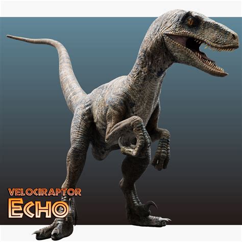 Jurassic World Velociraptor Echo By Benjee10 On Deviantart