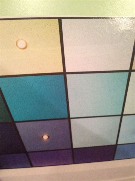 Painted Ceiling Tiles
