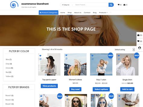 Ecommerce Storefront Wordpress Theme