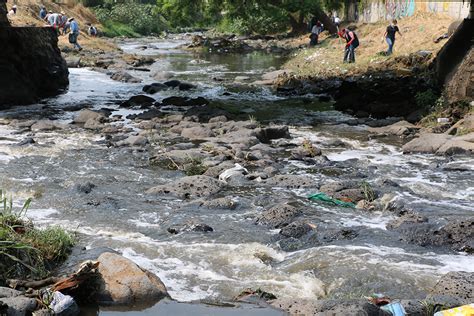 Basura Challenge Imta Barranca De Analco Jiutepec Morelos