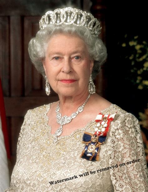 Photograph Portrait Of Queen Elizabeth Ii Of England X Ebay