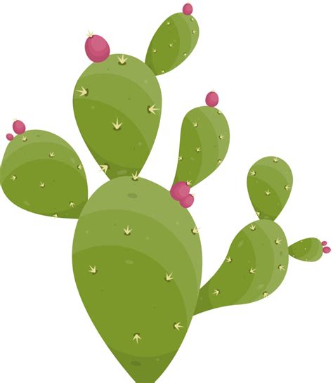 Cartoon Desert Cactus Plant 21611973 Png