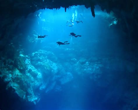 Best Scuba Diving In Tulum Cenotes Diving In Tulum — Go Dive Mexico