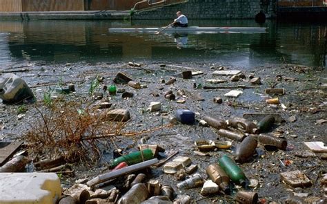 Plastic Litter Threatens River Life Telegraph