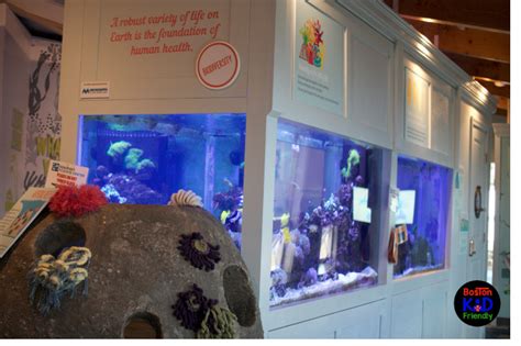 How To Make The Most Of The Seacoast Science Center For Ocean Learning Fun