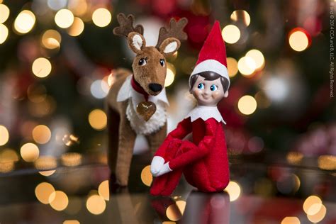 12 Fun Facts About Elf On The Shelf You Never Knew Before
