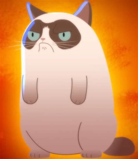Grumpy Cat Animeme Wiki Fandom