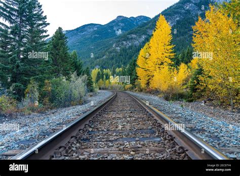 Railway Scenery In Autumn Foliage Season Banff National Park Canadian