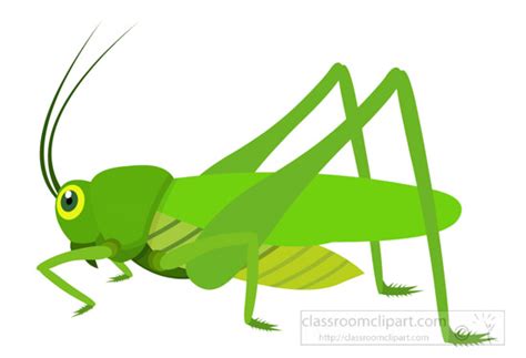 Insect Clipart Green Grasshopper Insect Clipart 725 Classroom Clipart