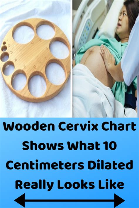 Wooden Cervix Chart Shows What Centimeters Dilated Really Looks Like