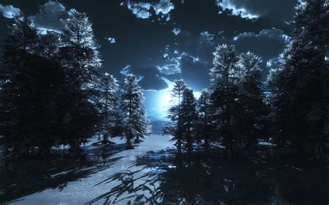 Blue Moon Forest Blue Clouds Cold Forest Moon Night Pine Trees Sky Snow Winter 31345