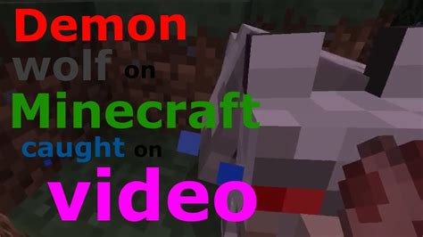 Demon Wolf On Minecraft Caught On Video Youtube