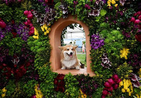 A list of 10 titles updated 18 apr 2017. How to get tickets for the Chelsea Flower Show 2017 ...