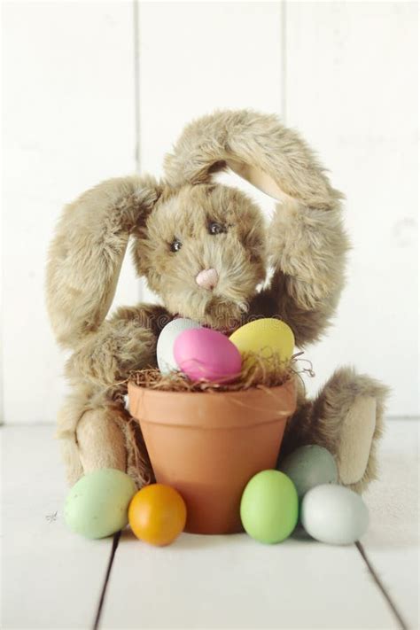 Easter Bunny Themed Holiday Occasion Image Stock Image Image Of