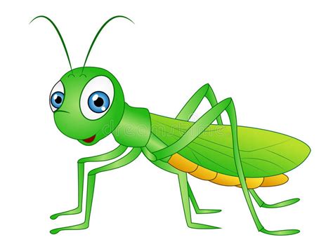 Grasshopper Clipart Grasshopper Transparent Free For