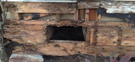 House foundations come in different types and various techniques so learn all about them in order wood foundations are often standard in northern areas. Wood Frame House Leveling Corpus Christi TX | Free ...