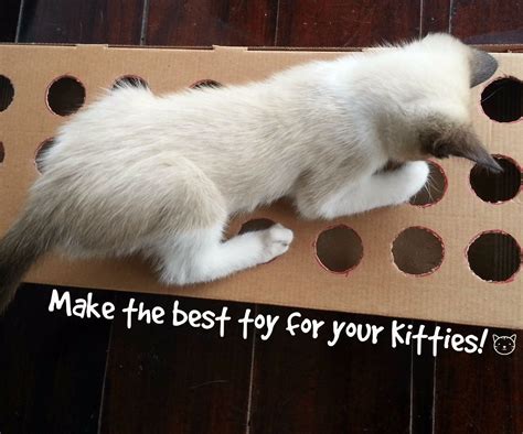 Make A Toy For Your Cat Using Cardboard Cat Toys Cats Kitten Toys