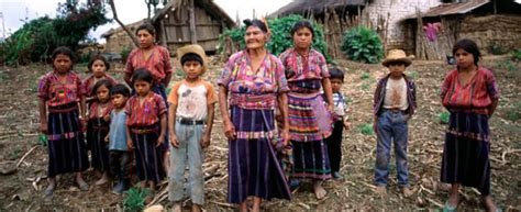 Los Pueblos Originarios De América Latina En La Era Covid 19 Iade