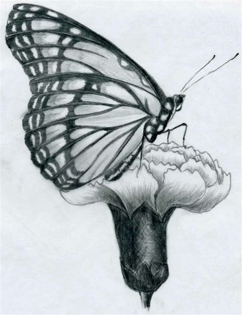 Una tavoletta può esser definita come un mezzo fisicamente robusto adatto al trasporto e alla scrittura. disegni-a-matita-facili-farfalla-profilo-posata-garofano ...
