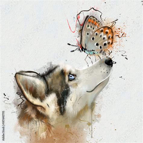 Portrait Of Dog With Butterfly On Nose Close Up On A White
