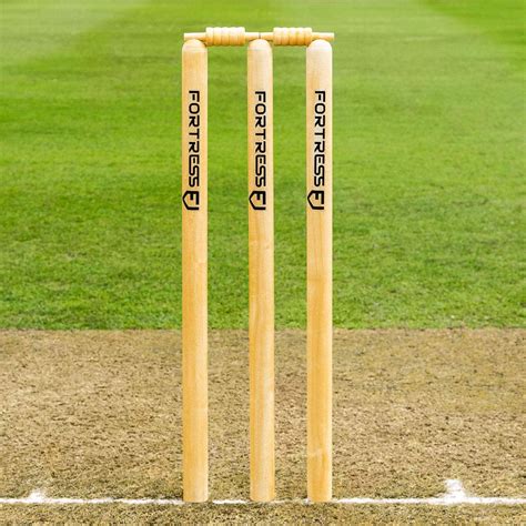 The Best Cricket Stumps Reviewed 2021 Cricketers Choice