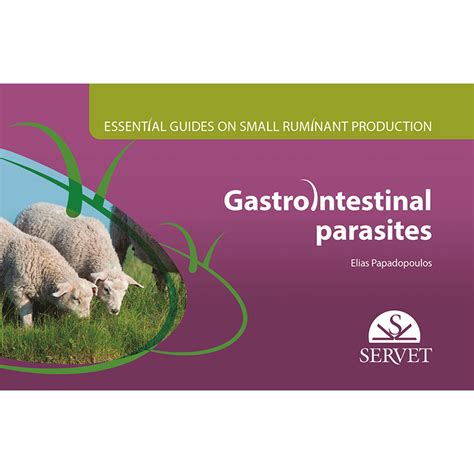Essential Guides On Small Ruminant Farming Gastrointestinal Parasites
