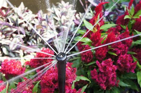 Maybe you would like to learn more about one of these? Want to Make Your Sprinkler System More Efficient? Here's ...