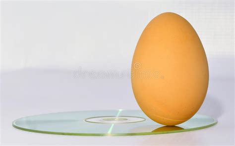 Egg Standing On Its Fat End On Compact Disk Stock Image Image Of