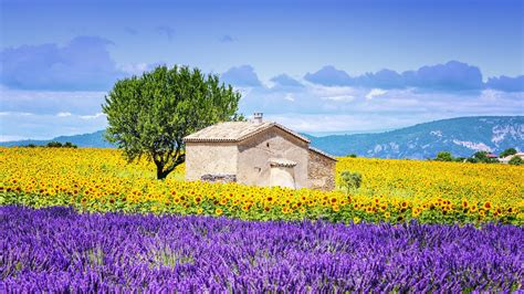 Aix En Provence France Beautiful Landscapes Fine Art Landscape