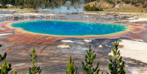 8 Conseils Pour Visiter Le Parc De Yellowstone En 2024 Un Guide Complet