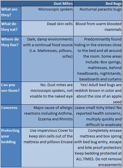 Mattress Time The Differences Between Dust Mites And Bed Bugs