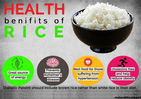 11 Amazing Benefits Of Rice You Must To Know My Health Only