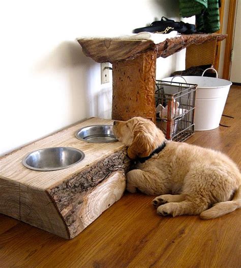 See more ideas about dog bowls, dog feeding, bowl. 11 Creative DIY dog bowl ideas for your pet