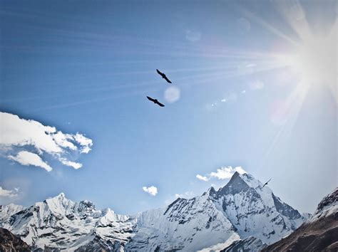 Birds Flying And Sun Over Mountains Photograph By Whit Richardson