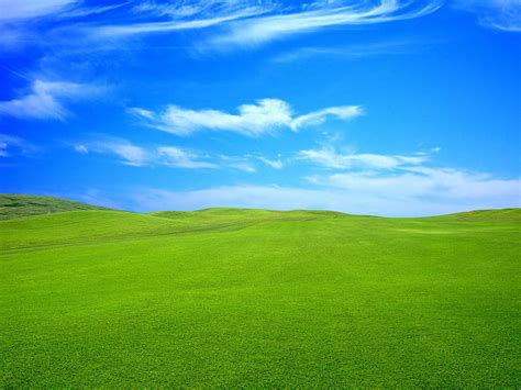 Related Blue Sky Green Grass Nature Kingdom 1920x1440 For Your