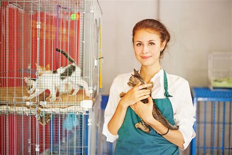 Careers With Animals Discover Animals